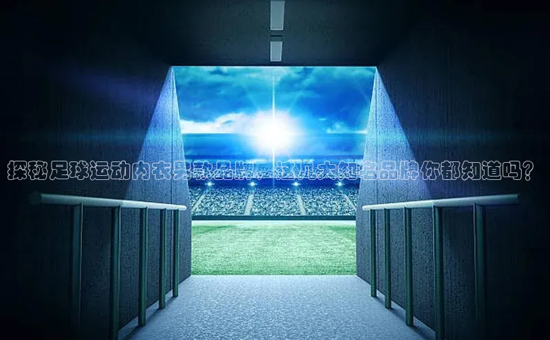 球盟会官方网页登录小红书探秘足球运动内衣男款品牌，这几大知名品牌你都知道吗？