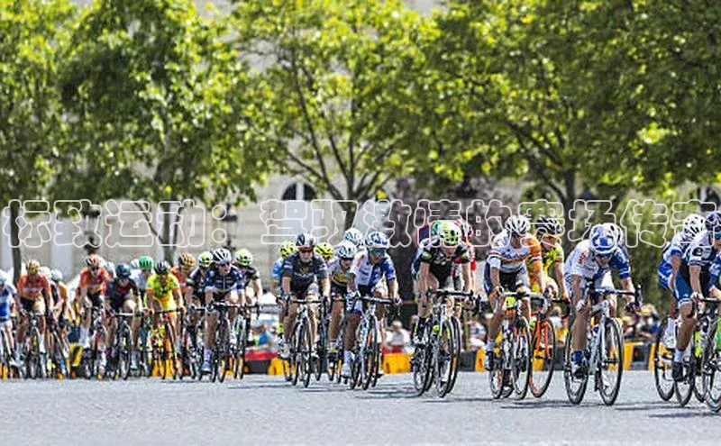 qmh球盟会亚博华扬联众标致运动：驾驭激情的赛场传奇