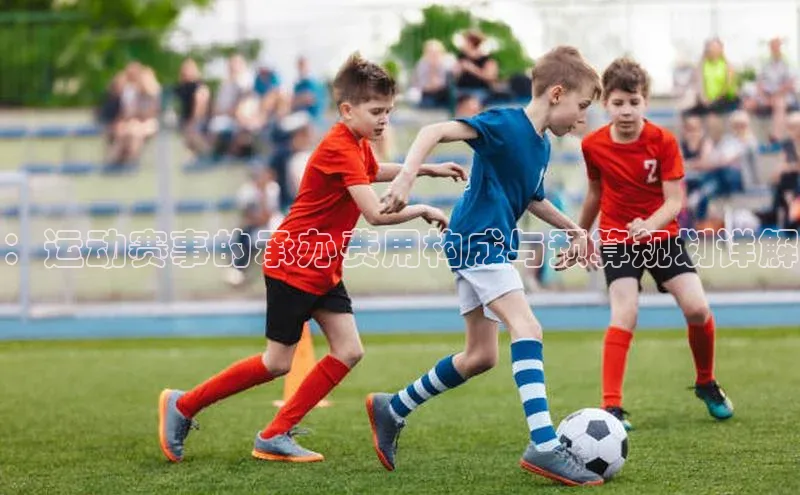 球盟会网页登录入口普信公司：运动赛事的承办费用构成与预算规划详解