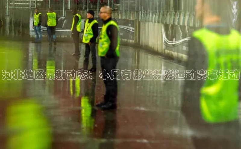 河北地区最新动态：本周有哪些精彩运动赛事活动