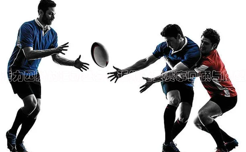 活力四射的运动盛会：近期重要赛事回顾与展望