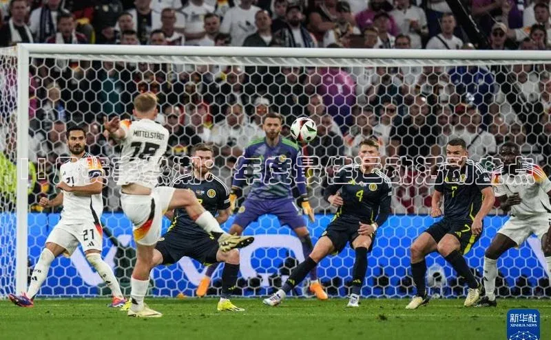 11月赛事热潮：年度最佳运动活动盘点