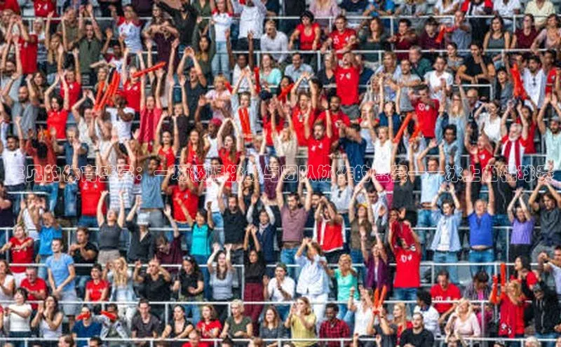 罕见的体育盛宴：一场极限挑战与团队协作的盛宴——冰上曲棍球赛