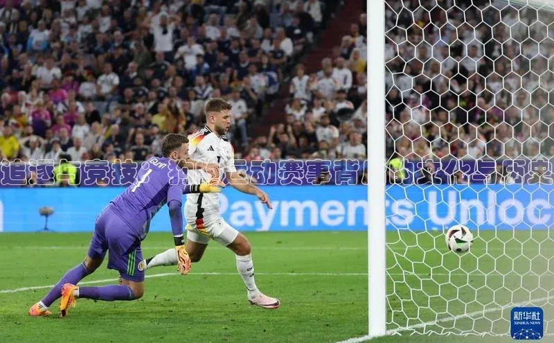 追逐与竞技：狗的运动赛事背后的文化与历史