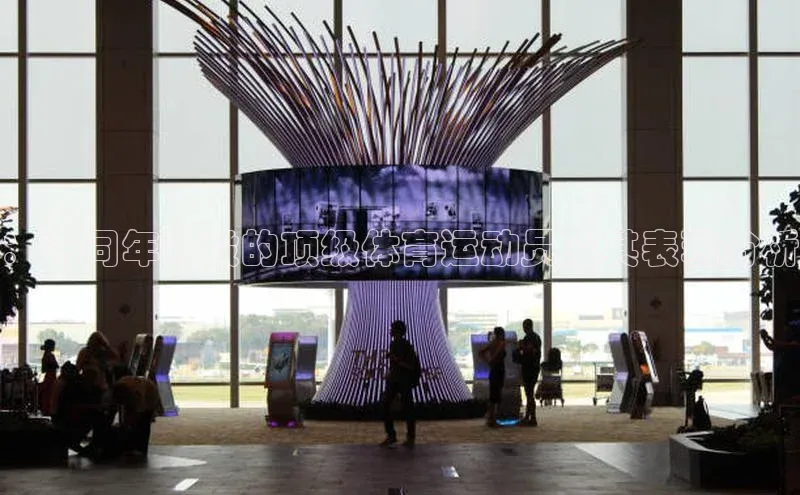 ：不同年龄段的顶级体育运动员及其表现分析