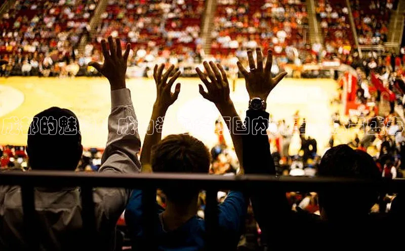 成都的魅力：成功举办多项国内外重要体育盛事