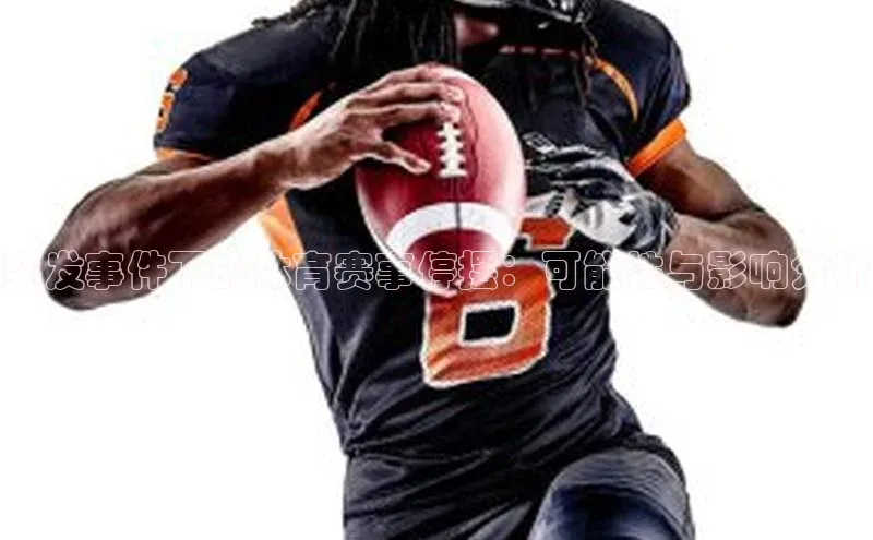 突发事件下的体育赛事停摆：可能性与影响分析