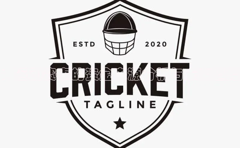 ：运动赛事的资金来源分析与未来趋势