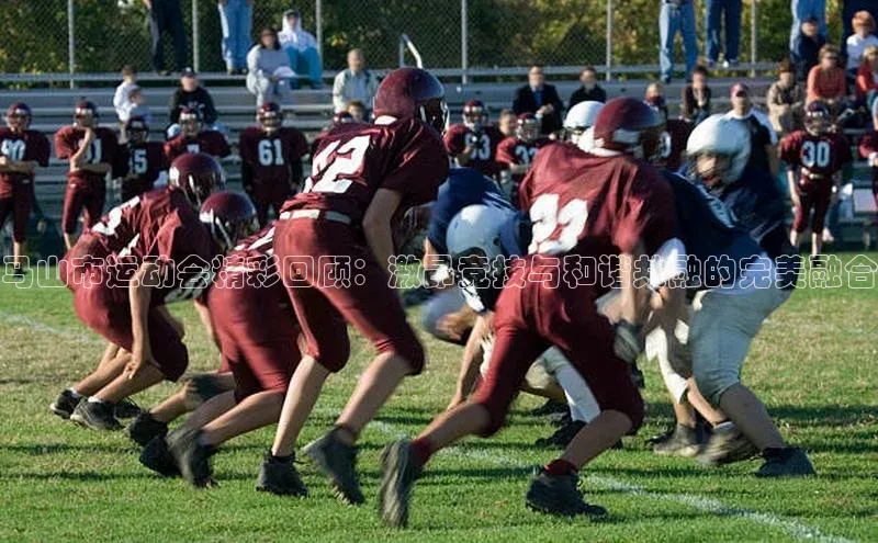 马山市运动会精彩回顾：激昂竞技与和谐共融的完美融合