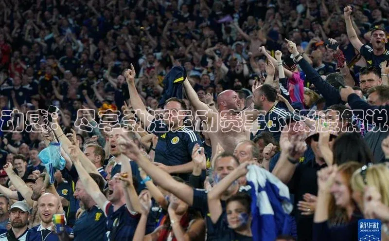 动感：尽享劲滔运动赛事的深度解说