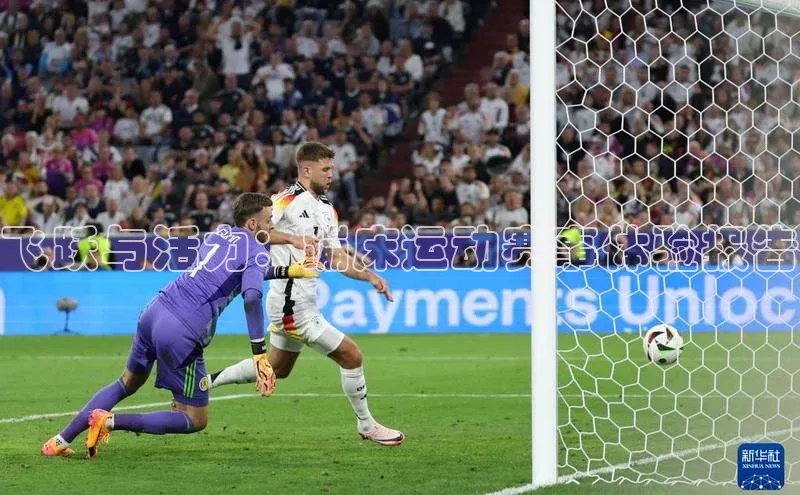 飞跃与活力：蹦床运动赛事体验报告