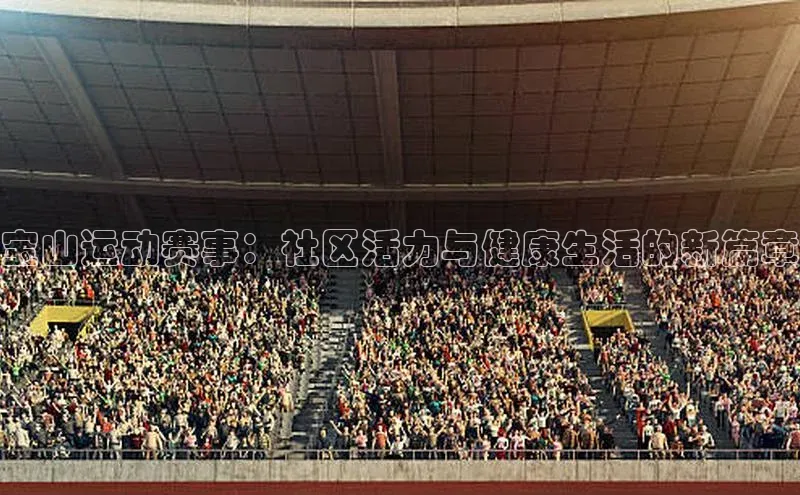 宝山运动赛事：社区活力与健康生活的新篇章