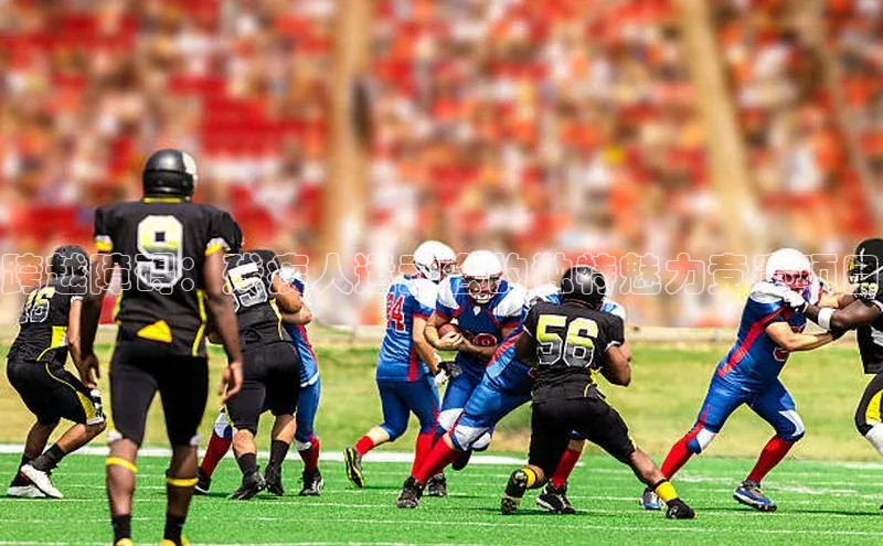 跨越障碍：残疾人运动会的独特魅力竞赛项目