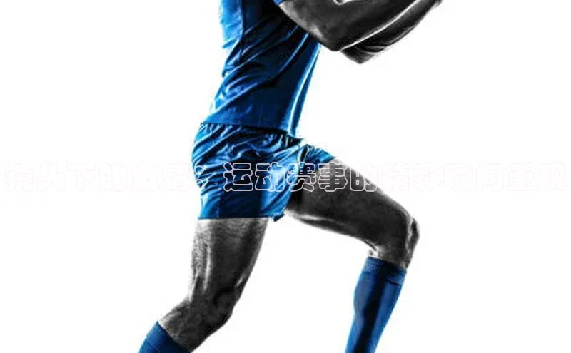 球盟会登录入口网页版