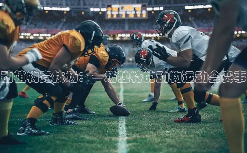 球盟会(中国)官方网站