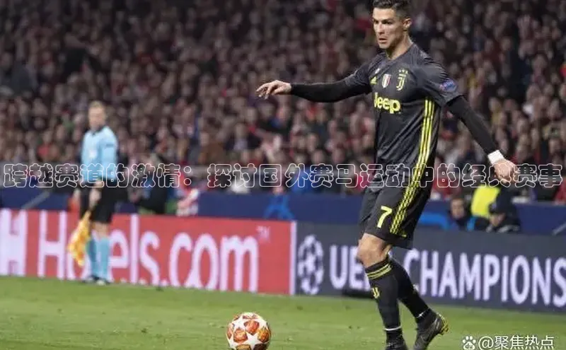 球盟会官方网站入口