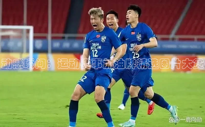 动感瞬间：运动赛事加油牌精选图片大赏