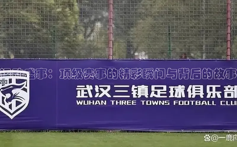 运动盛事：顶级赛事的精彩瞬间与背后的故事